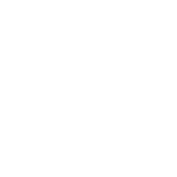 curriculum (1) Private GPT Symbol für Anwendungen