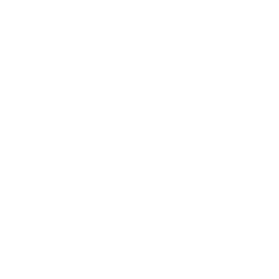 robotics (1) Private GPT Symbol für Anwendungen